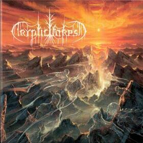 CRYPTIC FOREST - YSTYR