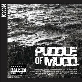 PUDDLE OF MUDD - ICON