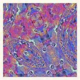 NIÑO, CARLOS - PLACENTA