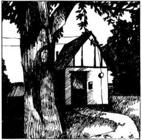 LEWIS, NAOMI - COTTAGE SONGS -HQ-