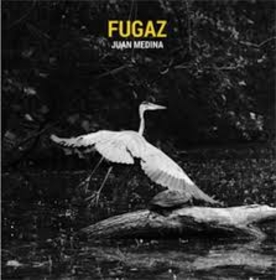 JUAN MEDINA - FUGAZ