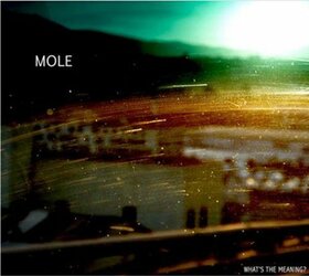 MOLE - WHAT'S THE MEANING?
