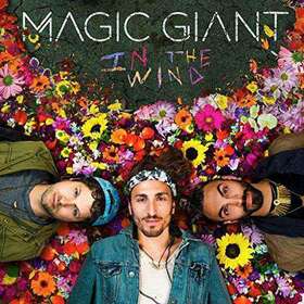 MAGIC GIANT - IN THE WIND