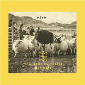 PESH - TOO MANY UNIVERSES BUT MINE