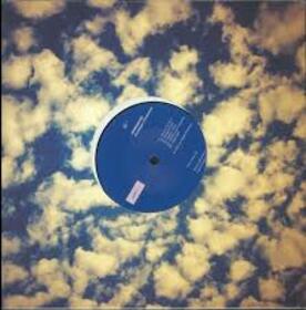 IMMERSION - ANALOGUE CREATURES -10