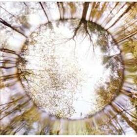 DUFFY, MARTIN - ASSORTED PROMENADES