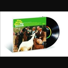 BEACH BOYS - PET SOUNDS - MONO -HQ-