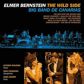 BIG BAND DE CANARIAS - WILDE SIDE