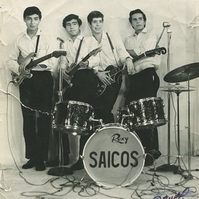 LOS SAICOS - DEMOLICION