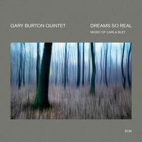 BURTON, GARY - DREAMS SO REAL