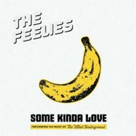 FEELIES - SOME KINDA LOVE: VELVET UNDERGROUND