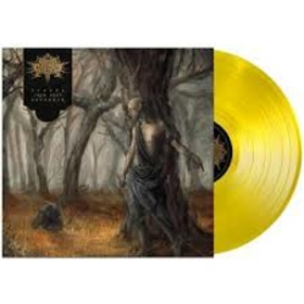 FIRES IN THE DISTANCE - ECHOES FROM DEEP NOVEMBER -LTD-