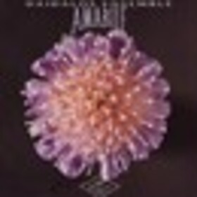 DAIDALOS ENSEMBLE - AMABILE