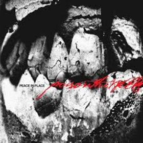 POISON THE WELL - PEACE IN PLACE