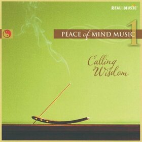 VARIOUS ARTISTS - PEACE OF MIND MUSIC 1