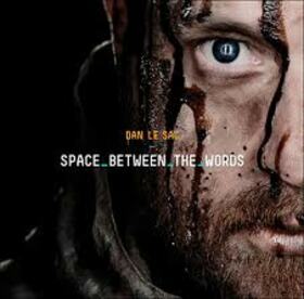 DAN LE SAC - SPACE BETWEEN THE WORDS