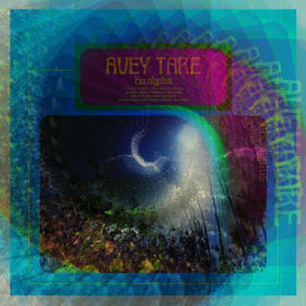 TARE, AVEY - EUCALYPTUS