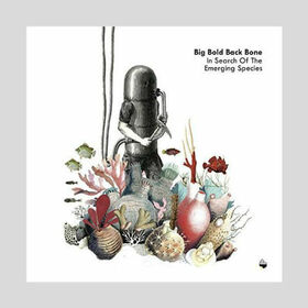 BIG BOLD BACK BONE - IN SEARCH OF THE EMERGING
