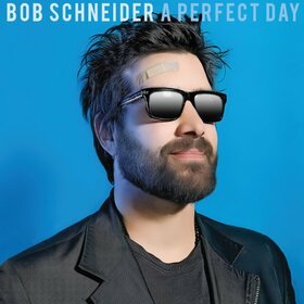 SCHNEIDER, BOB - PERFECT DAY