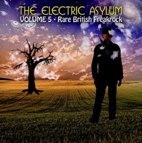 VARIOS ARTISTAS - ELECTRIC ASYLUM VOL.5