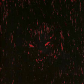 DJ RICHARD - DIES IR' XEROX