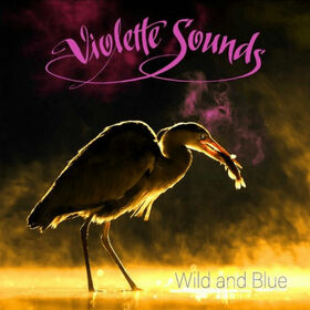 VIOLETTE SOUNDS - WILD AND BLUE