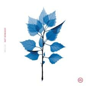 BERNINGER, MATT - GET SUNK