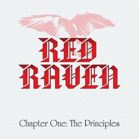 RED RAVEN - CHAPTER ONE THE PRINCIPLES