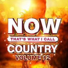 VARIOS ARTISTAS - NOW THAT'S WHAT I CALL COUNTRY 12