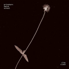 PRINZHORN DANCE SCHOOL - CLAY CLASS