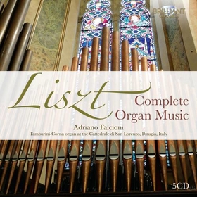 FALCIONI, ADRIANO - LISZT: COMPLETE ORGAN MUS