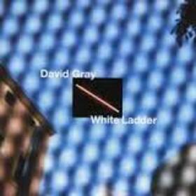 GRAY, DAVID - WHITE LADDER