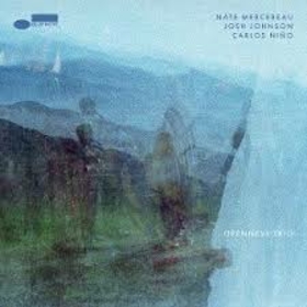 MERCEREAU, NATE - OPENNESS TRIO
