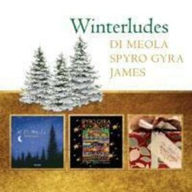 DI MEOLA, AL/BONEY JAMES - WINTERLUDES