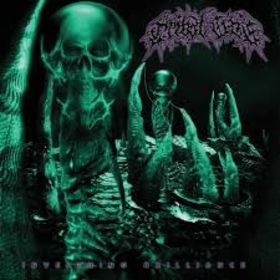 TRIBAL GAZE - INVEIGHING BRILLIANCE