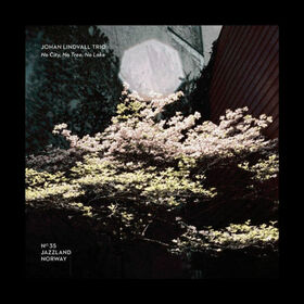LINDVALL, JOHAN - NO CITY, NO TREE, NO LAKE