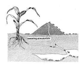 SWEARING AT MOTORISTS - SWEARING AT.. -HQ-