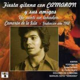 VARIOS ARTISTAS - FIESTA GITANA CON CAMARON Y SUS AMIGOS VOL.2