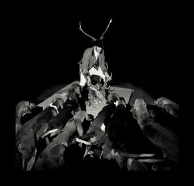 LES MARQUISES - A NIGHT FULL OF COLLAPSES