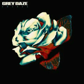 GREY DAZE - AMENDS -HQ-