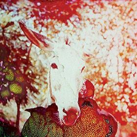 JERUSALEM IN MY HEART - IF HE DIES, IF IF IF IF..