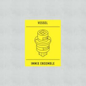 IMMIX ENSEMBLE - TRANSITION