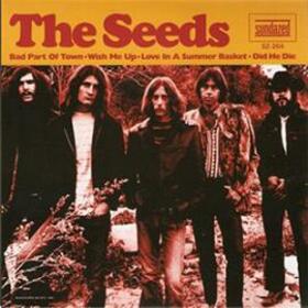 SEEDS - BAD PART OF TOWN -LTD-