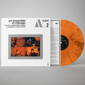 ART ENSEMBLE OF CHICAGO - A JACKSON IN YOUR HOUSE -LTD-