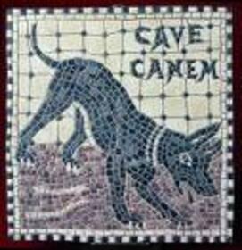 CANEM - CAVE CANEM