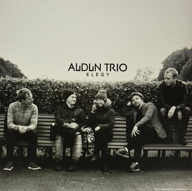 AUDUN TRIO - ELEGY