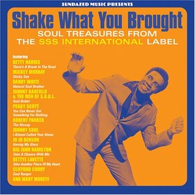 VARIOUS ARTISTS - SHAKE WHAT YOU BROUGHT-20