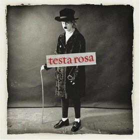 TESTA ROSA - TESTA ROSA