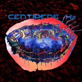 ANIMAL COLLECTIVE - CENTIPEDE HZ -LTD-