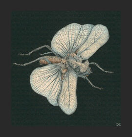 SUSANNA - GO DIG MY GRAVE